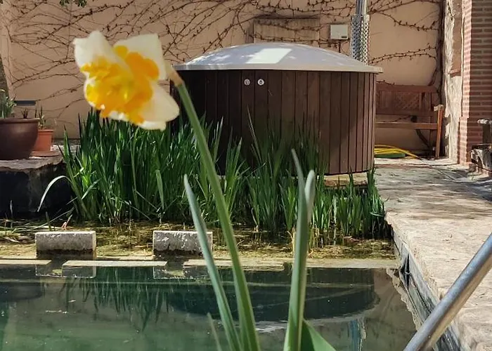 カントリーハウス Viento De Ladera Con Piscina Cubierta *