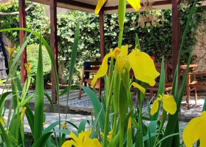 Viento De Ladera Con Piscina Cubierta *
