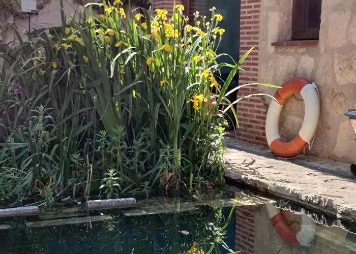 Viento De Ladera Con Piscina Cubierta * セゴビア